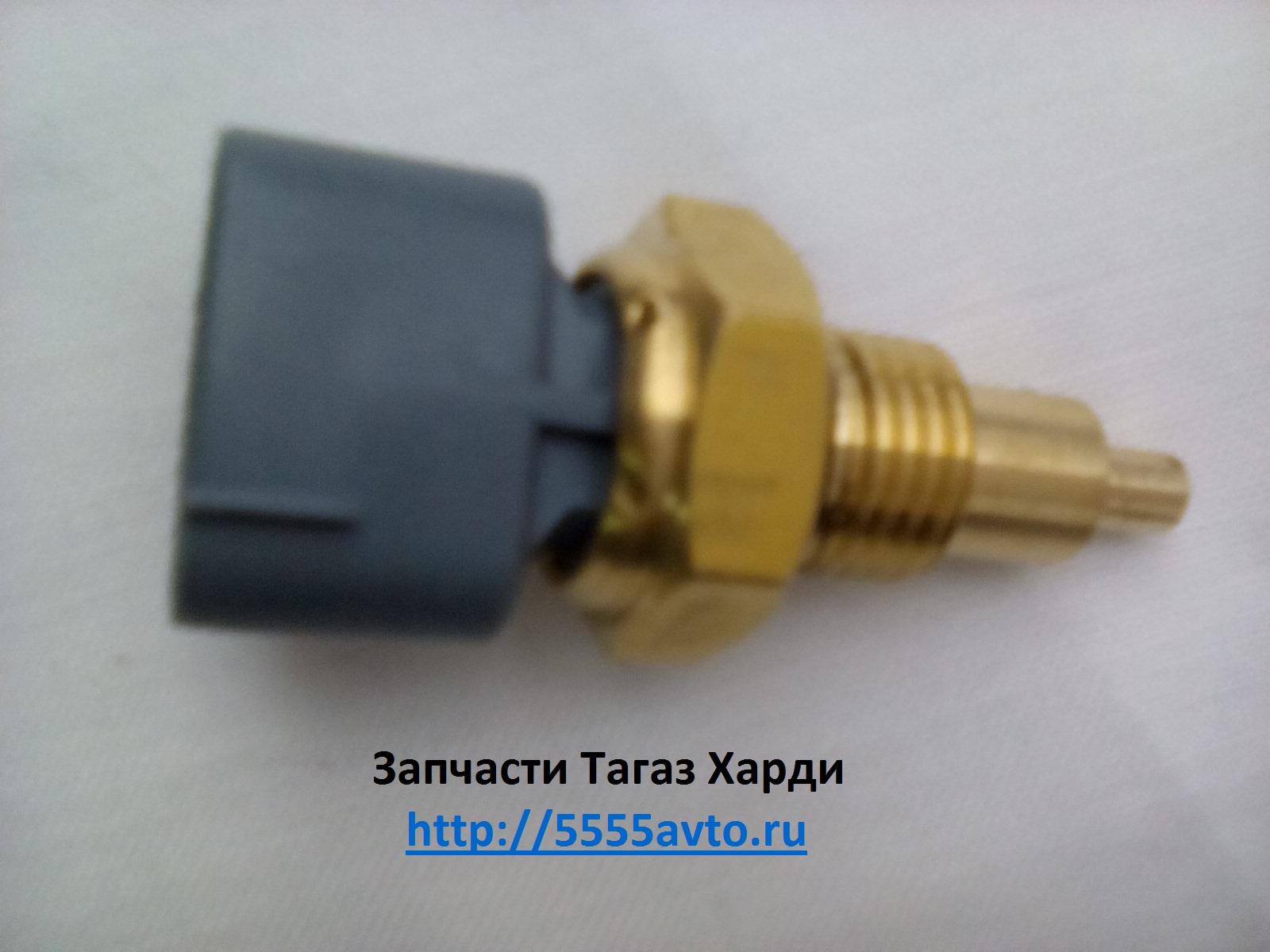 Датчик температуры  ТагАЗ HARDY/ХАРДИ/LC10  CK1000 100N2-126